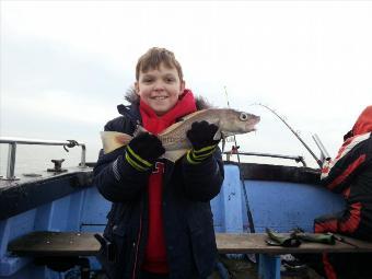 2 lb 5 oz Cod by little Bill