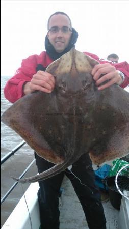 15 lb Blonde Ray by Luke