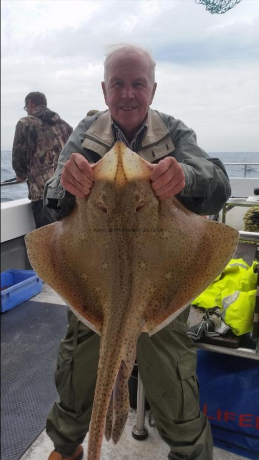 16 lb Blonde Ray by Unknown