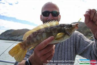 2 lb Ballan Wrasse by Peter