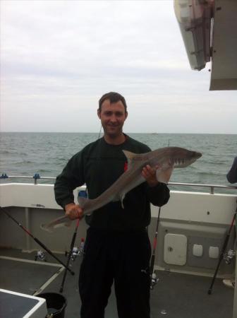 12 lb 4 oz Starry Smooth-hound by Stuart