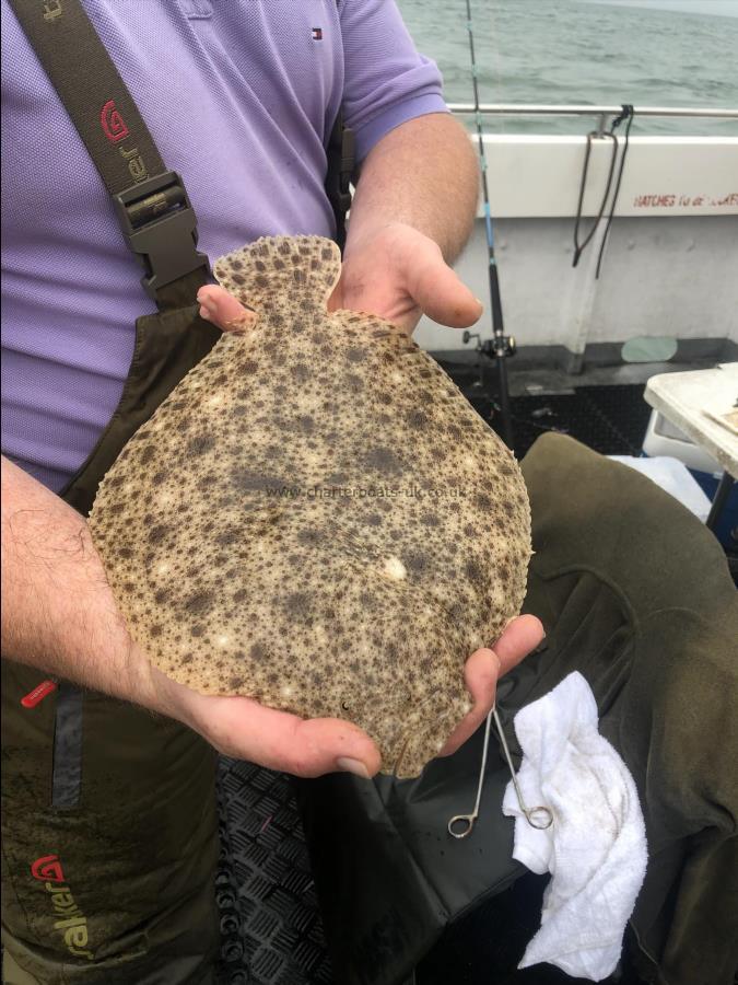 2 lb Turbot by Unknown