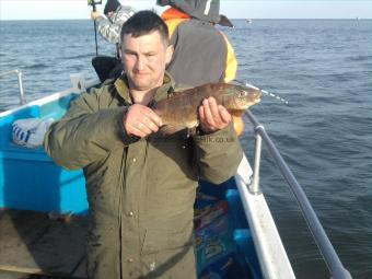 3 lb 4 oz Ballan Wrasse by unknown