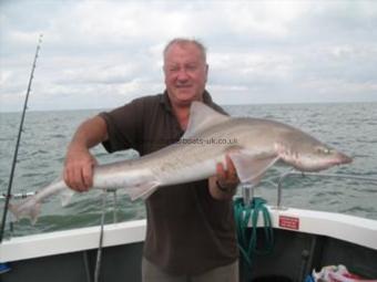 26 lb 7 oz Smooth-hound (Common) by Martin Lough