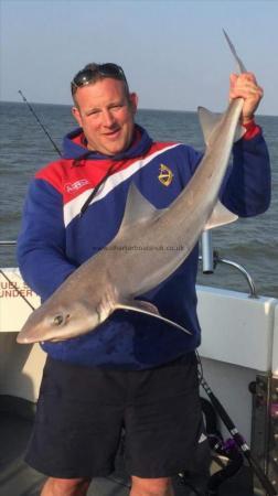 17 lb 2 oz Starry Smooth-hound by lee brumwell