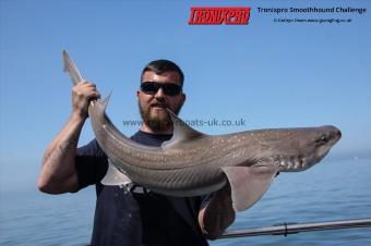 18 lb Starry Smooth-hound by Chris