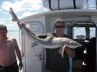 15 lb 4 oz Smooth-hound by Richard Weston