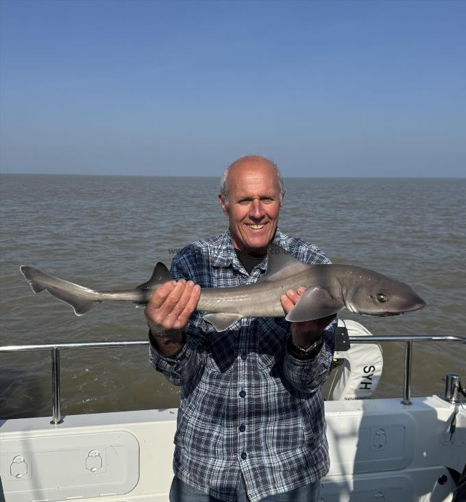 7 lb 5 oz Smooth-hound by Kevin
