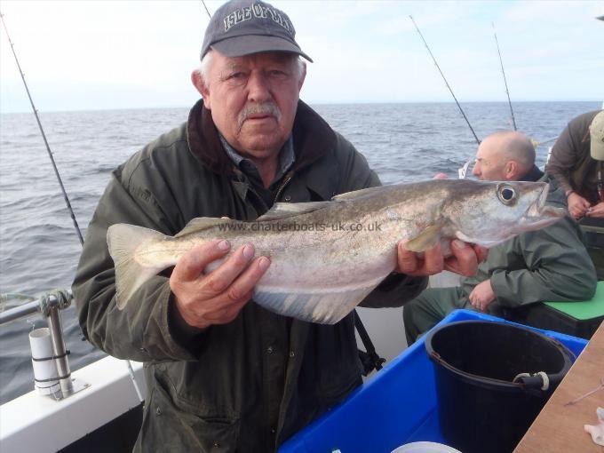 3 lb 8 oz Pollock by Tony.