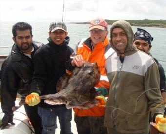 8 lb 7 oz Undulate Ray by Sujit Rampersand