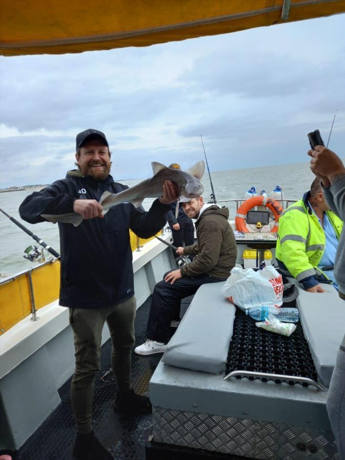 4 lb Smooth-hound by Unknown