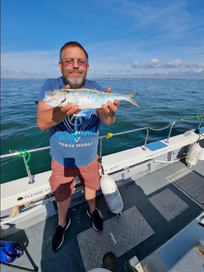 1 lb 3 oz Allis Shad by Skipper malcolm Nightingale