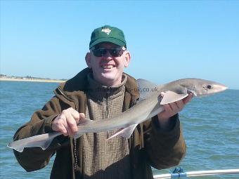 4 lb 5 oz Smooth-hound (Common) by phil