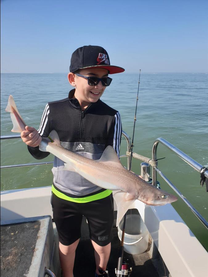 6 lb Starry Smooth-hound by Bob Marshall