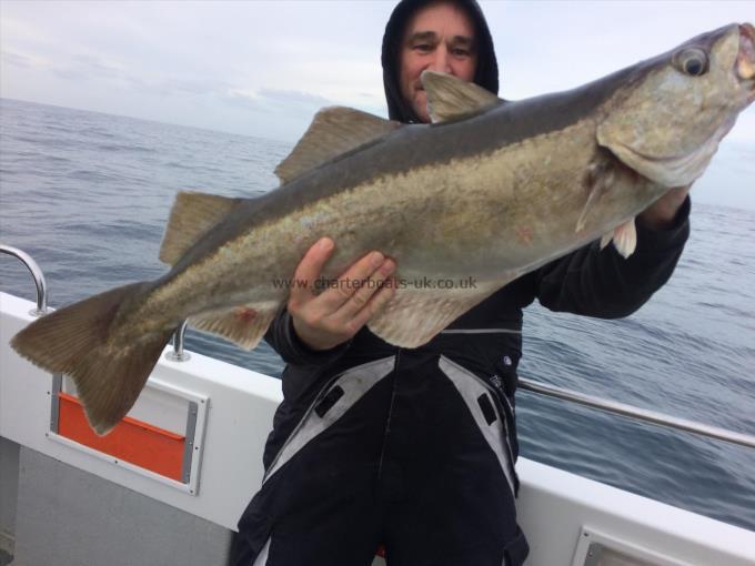 17 lb 8 oz Pollock by Stuart Savage