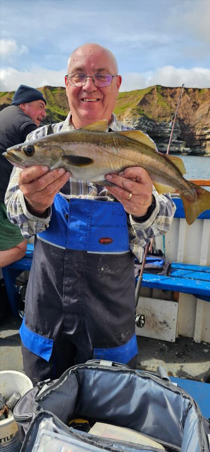 3 lb 6 oz Pollock by Unknown