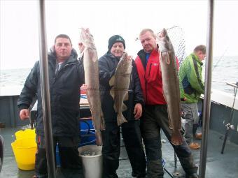 22 lb 4 oz Ling (Common) by neil