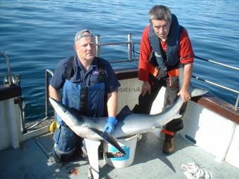 102 lb Blue Shark by ger kelly