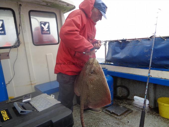 15 lb 2 oz Thornback Ray by large thornback ray