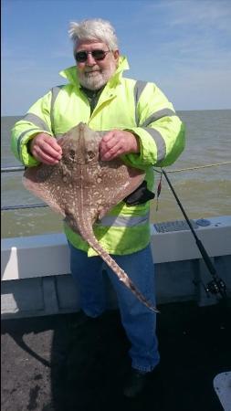 7 lb 8 oz Thornback Ray by Bob Marshall