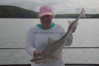 10 lb Starry Smooth-hound by Linda