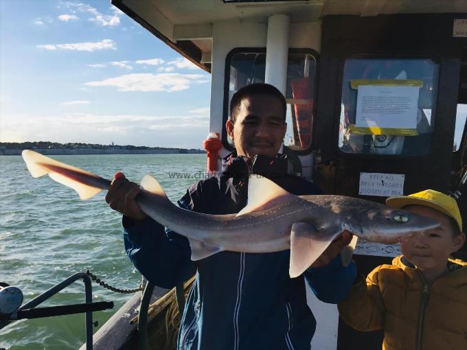 11 lb Smooth-hound by Unknown