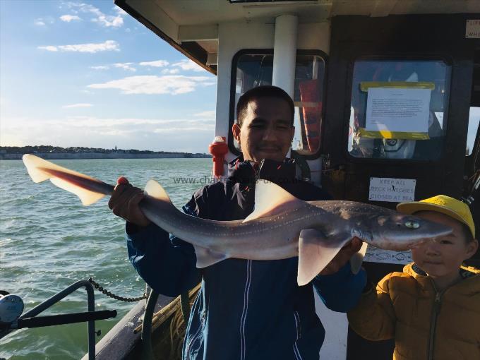 11 lb Smooth-hound (Common) by Unknown