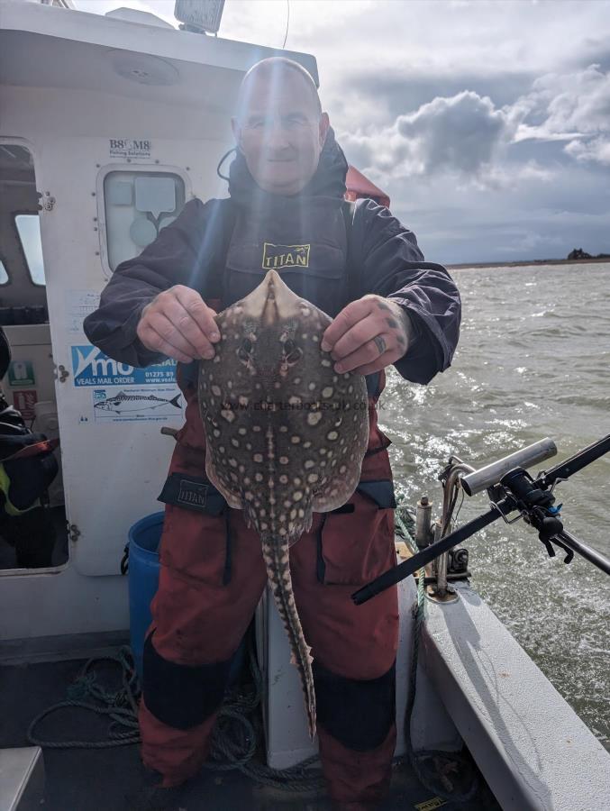 3 lb Thornback Ray by Skipper