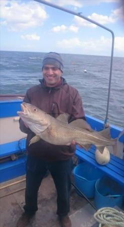 13 lb Cod by Unknown