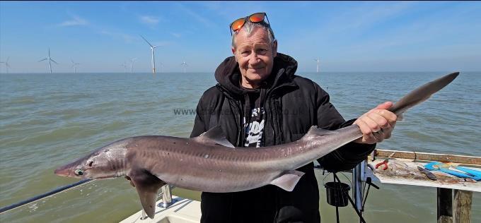 17 lb 4 oz Spurdog by Kevin