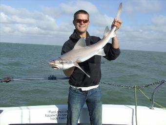 15 lb Starry Smooth-hound by scott (skipper)