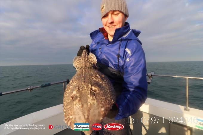 5 lb Thornback Ray by Ally