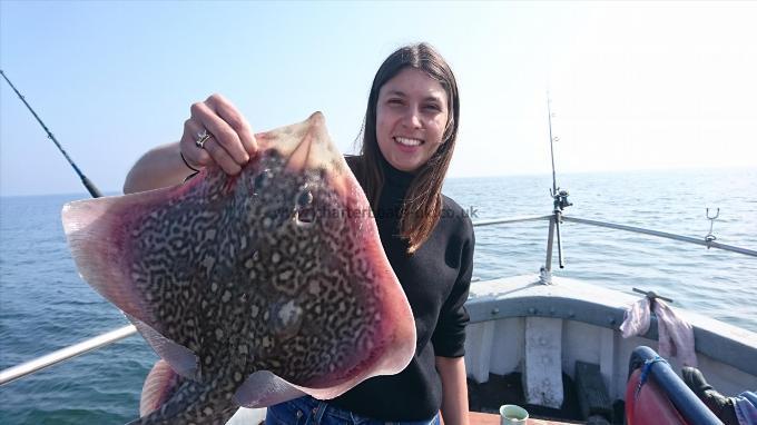 7 lb 3 oz Thornback Ray by Tash from Kent