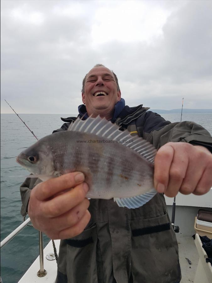 1 lb 4 oz Black Sea Bream by Dean