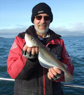 2 lb Whiting by Kevin Clark