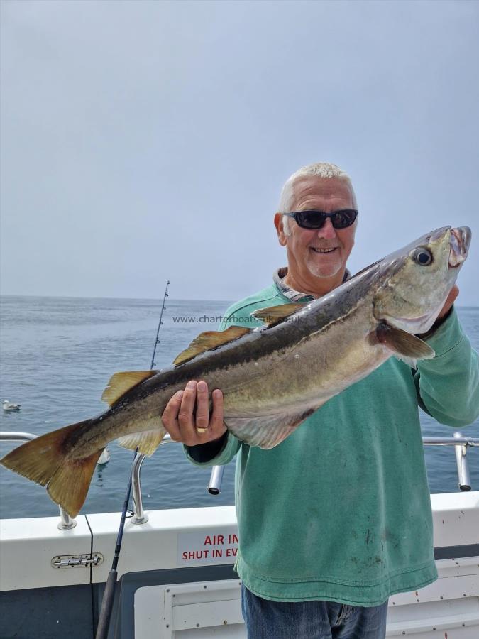 10 lb 5 oz Pollock by Steve