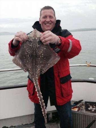 5 lb Thornback Ray by Giles