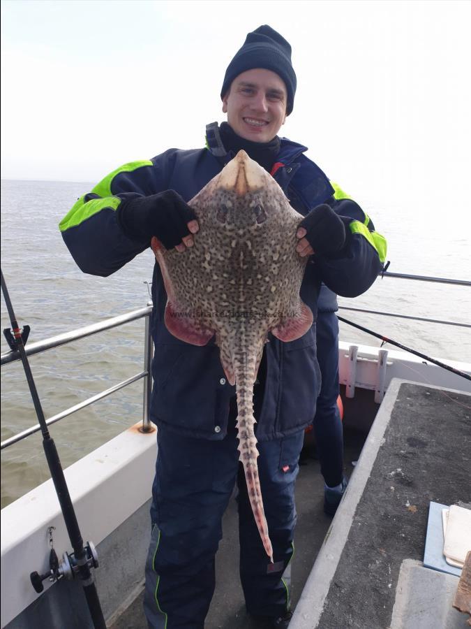 9 lb Thornback Ray by Bob Marshall