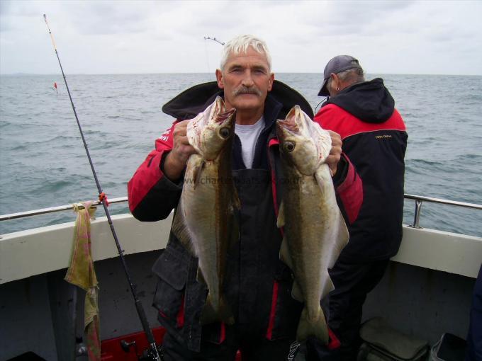 8 lb 9 oz Pollock by Andy