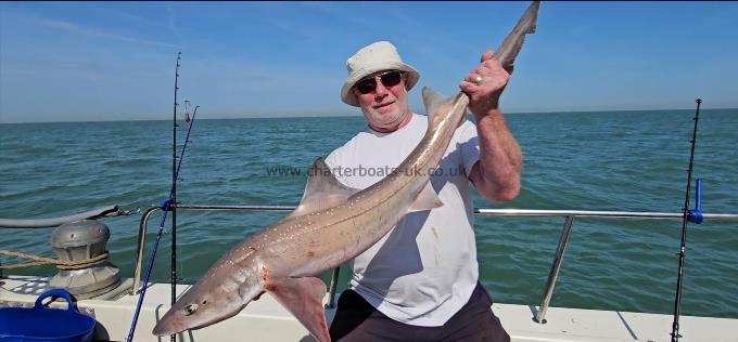 14 lb Starry Smooth-hound by Lee