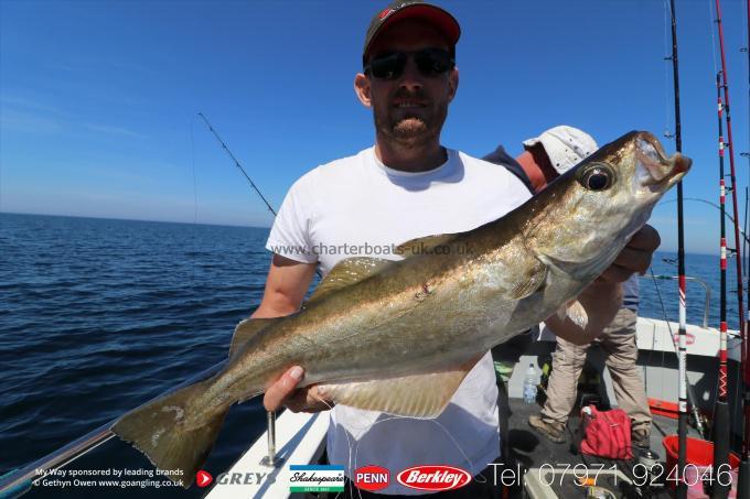 6 lb Pollock by Mark