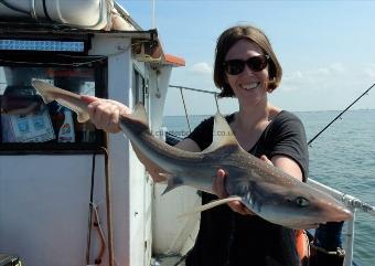 7 lb Smooth-hound by Unknown