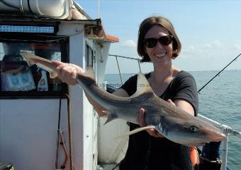 7 lb Smooth-hound (Common) by Unknown