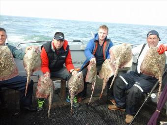 9 lb Thornback Ray by individual day