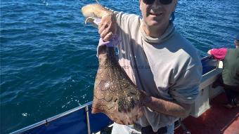 7 lb Undulate Ray by Stephen Wake