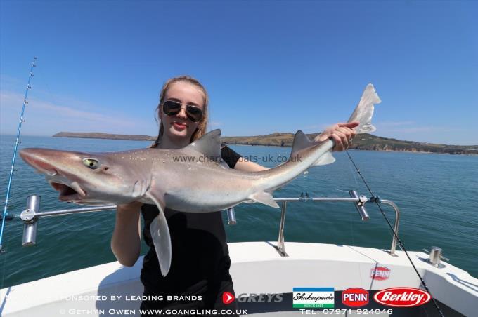 11 lb Starry Smooth-hound by Ebony