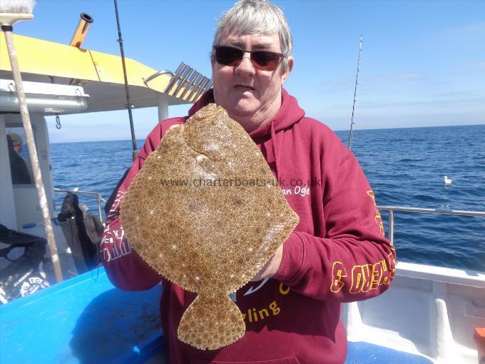 3 lb Turbot by Unknown