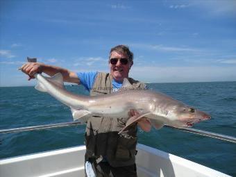 23 lb 4 oz Smooth-hound by Mike Harris