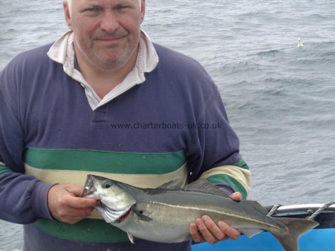 4 lb 1 oz Coalfish (Coley/Saithe) by Unknown