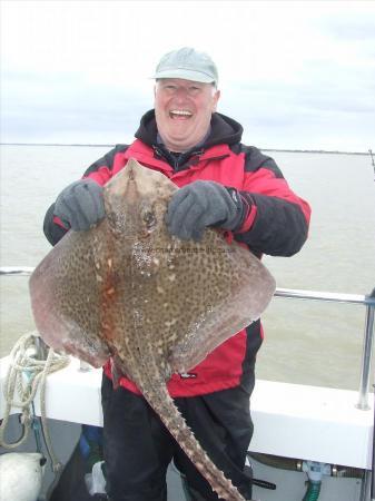 13 lb Thornback Ray by Unknown